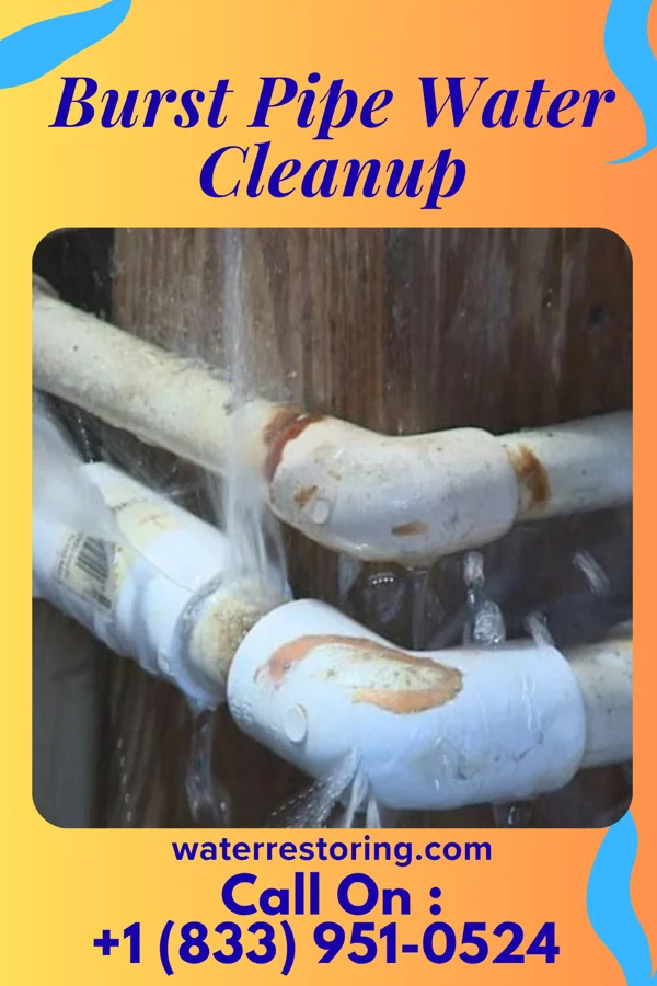 Burst Pipe Water Cleanup in Half Moon, NC