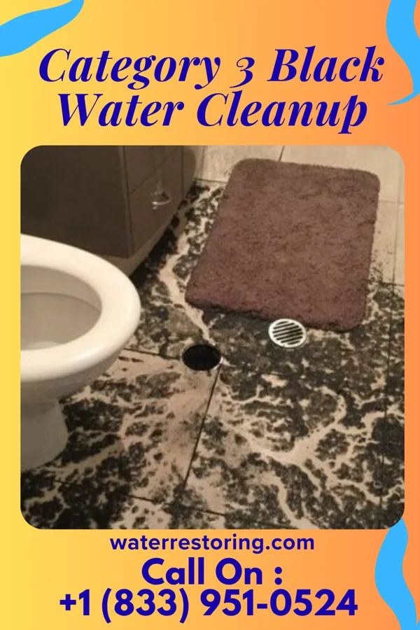 Category 3 Black Water Cleanup in Half Moon, NC