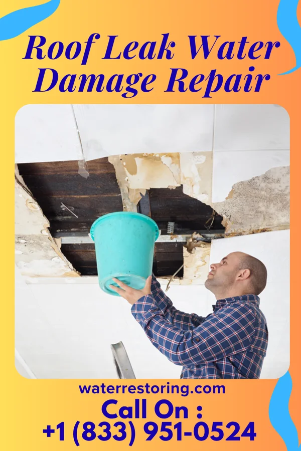 Roof Leak Water Damage Repair in Half Moon, NC