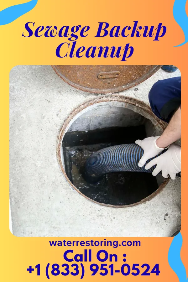 Sewage Backup Cleanup in Half Moon, NC