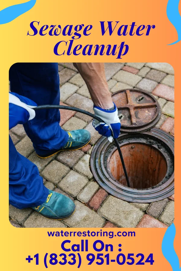 Sewage Water Cleanup in Half Moon, NC